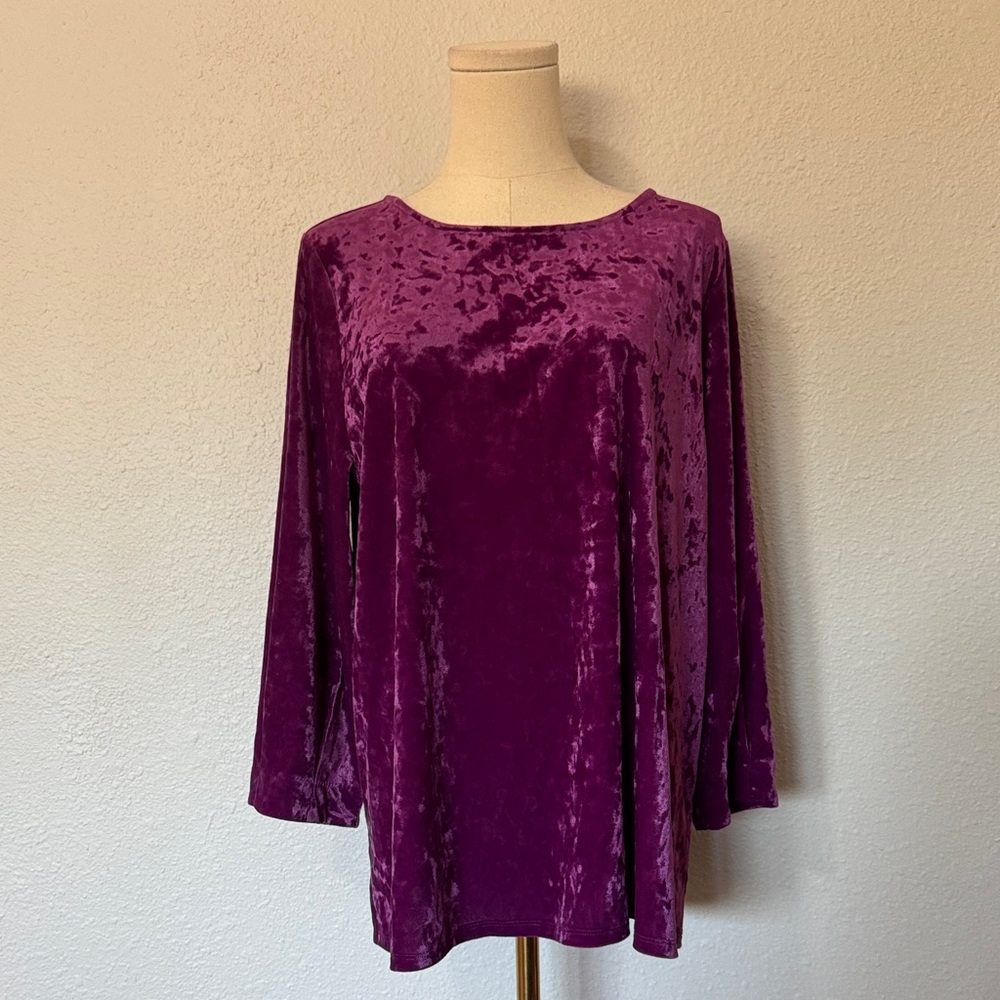 NWT J. Jill Crushed Velvet 3/4 Sleeve Pullover in Sugarbeet size Large Tall - Picture 3 of 15